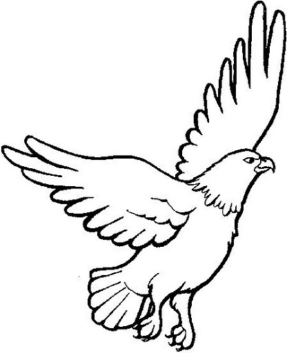 EAGLES COLORING PAGES