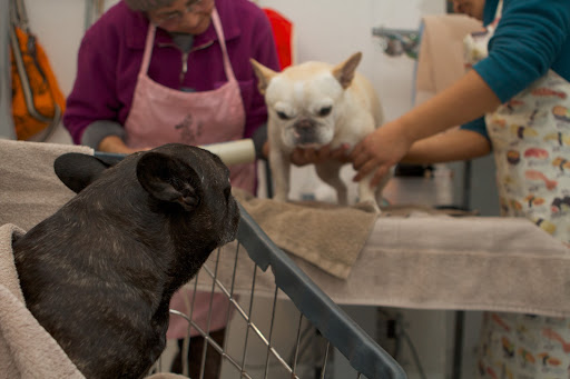 Sharkey, bathing is very important.  Personal hygiene is essential and Laura and Sanu are very gentle.