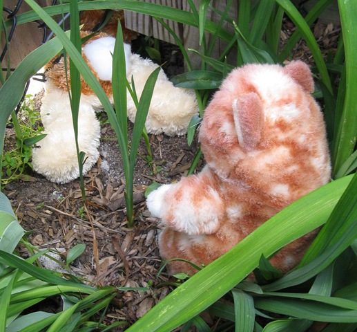 [IMG_9124CROPPED%255B2%255D.jpg]
