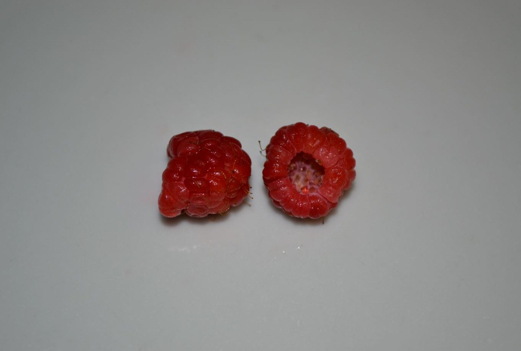 [December%2520raspberries%2520-%2520picked%252002.12.2012%255B2%255D.jpg]