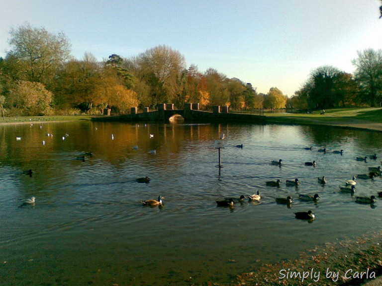 [Image022%255B12%255D.jpg]