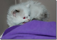 wally18