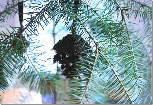 christmas 2011 036