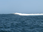La destra di NGOR