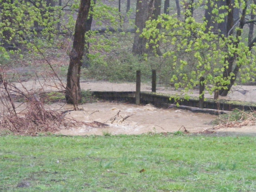 [DSCF2549%255B4%255D.jpg]