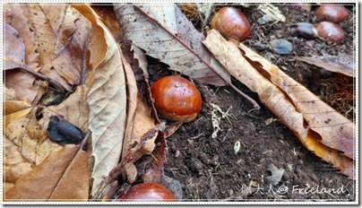 chestnuts3 chestnuts3