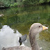 DSC06749.JPG