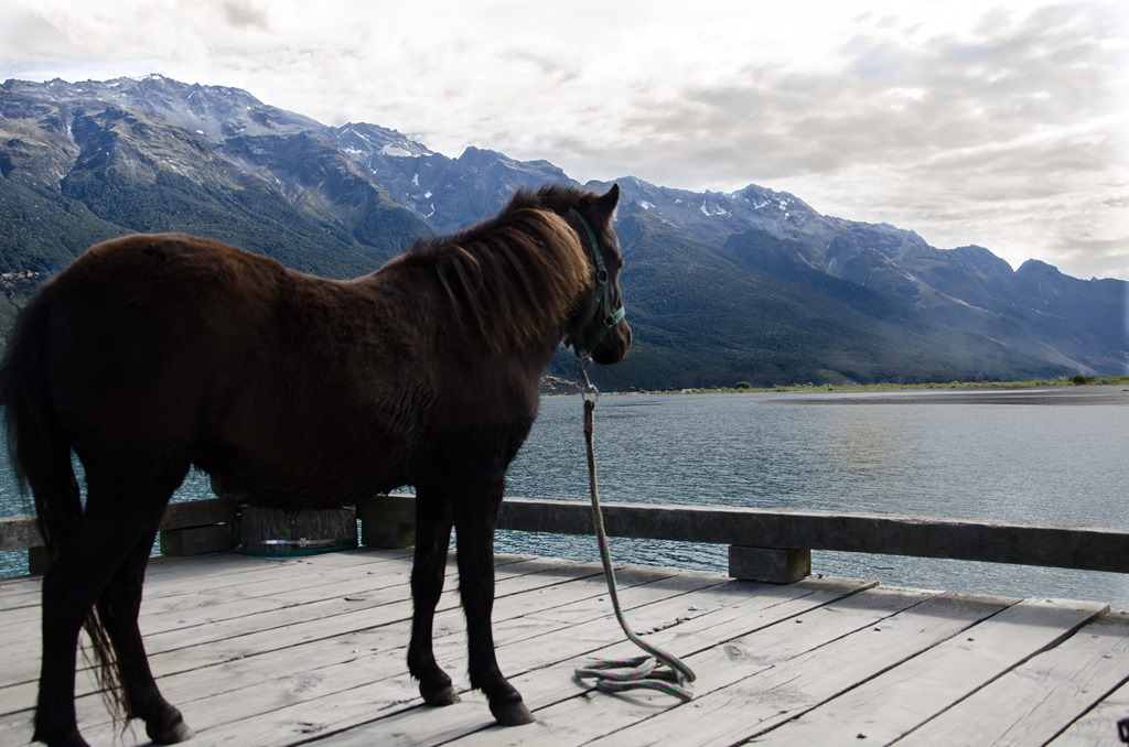 [Ponywharf-11%255B3%255D.jpg]