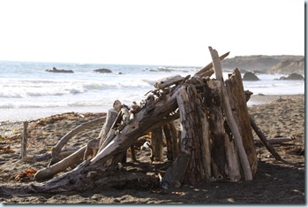 driftwoodsculpture2