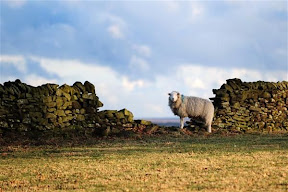 Peak District  (20).JPG