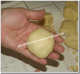 DSCF0105