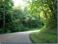 0029 Great Smoky Mountain National Park  - Tennessee - Little River Road