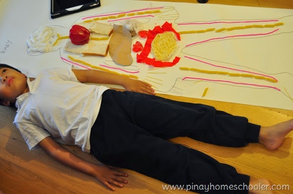 Internal Organs of the Body Study for Kids