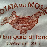 Nuotata del Mosaico 2011