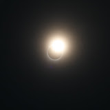 IMG_5712.JPG