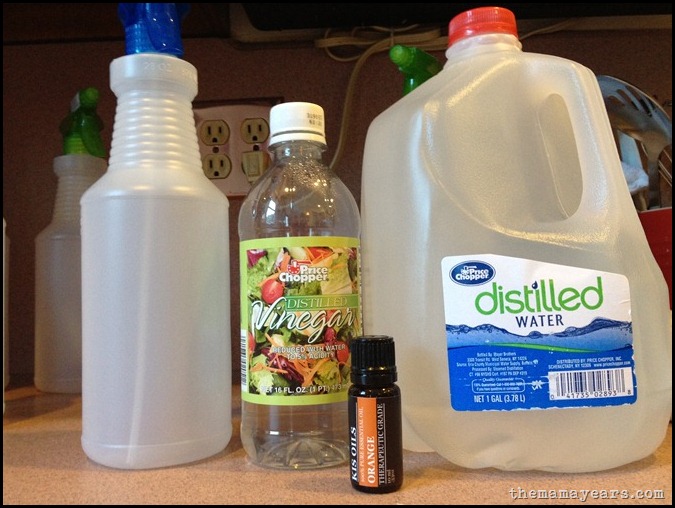 homemade cleaning soln 2