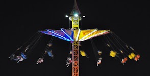 DSC_1363.JPG
