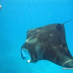l024.jpg