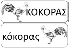 ζ17 ζ17