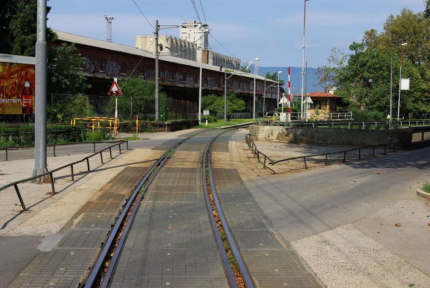 IMGP4623.JPG
