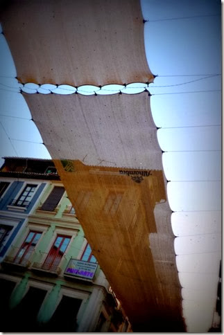 P1080129 P1080129