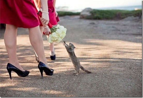 viral-picdump-pics-9863e9