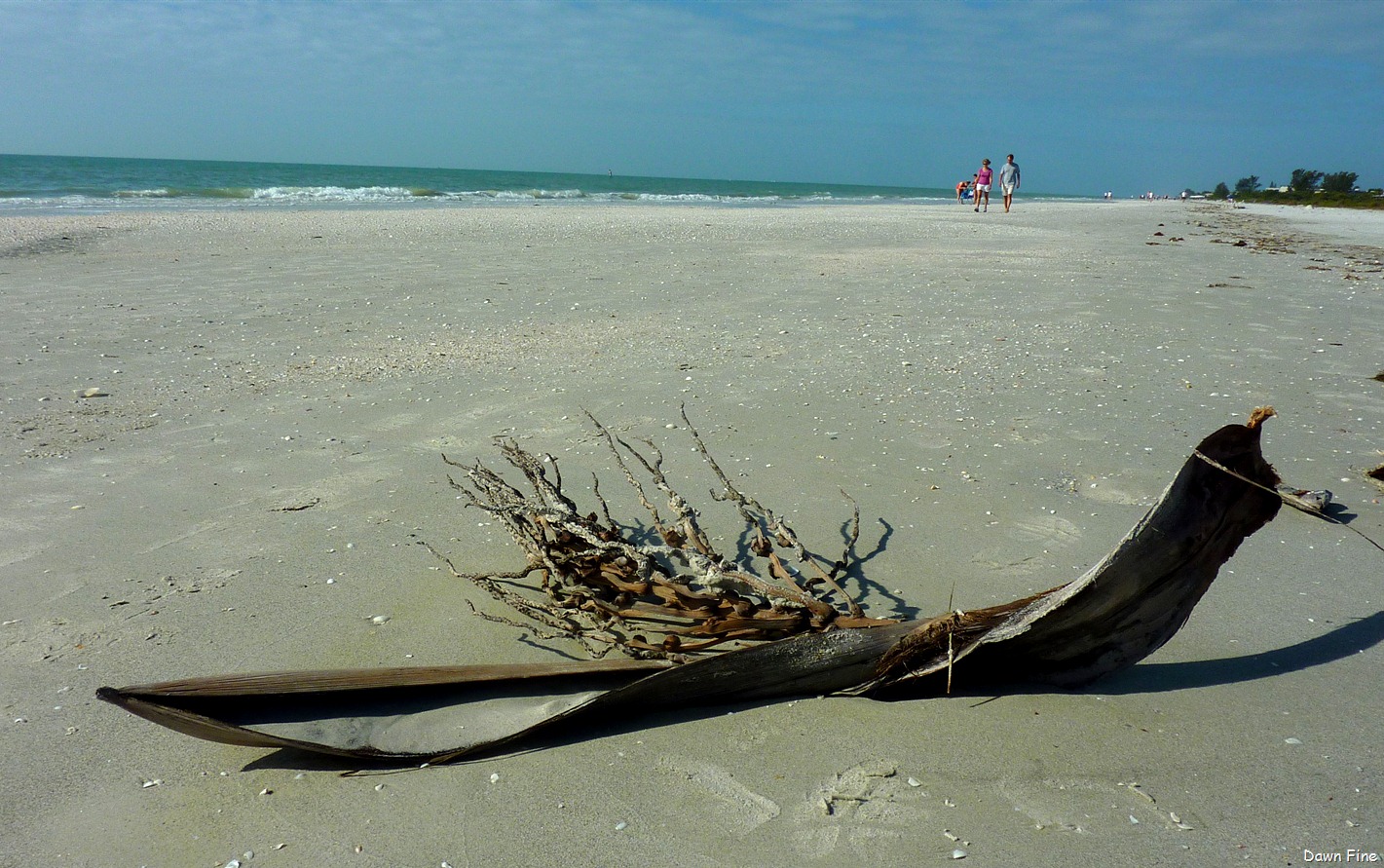 [morning%2520sanibel_126%255B3%255D.jpg]