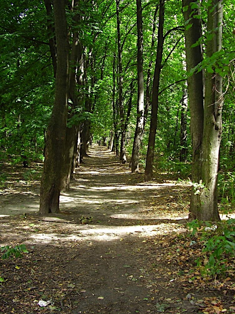 P8280420.JPG