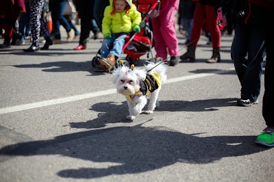 IMG_1362.jpg
