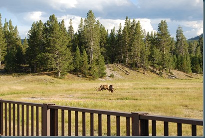 Yellowstone 028