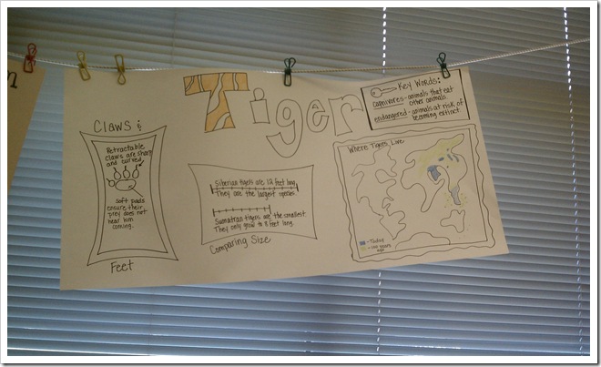 expert poster expert poster