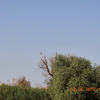 DSCN0266.JPG