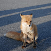 hokkaido_242.jpg