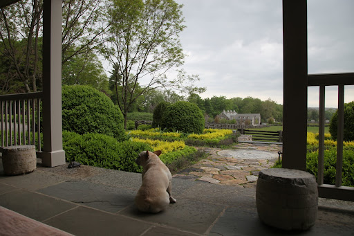 Francesca!!  Come back outside!