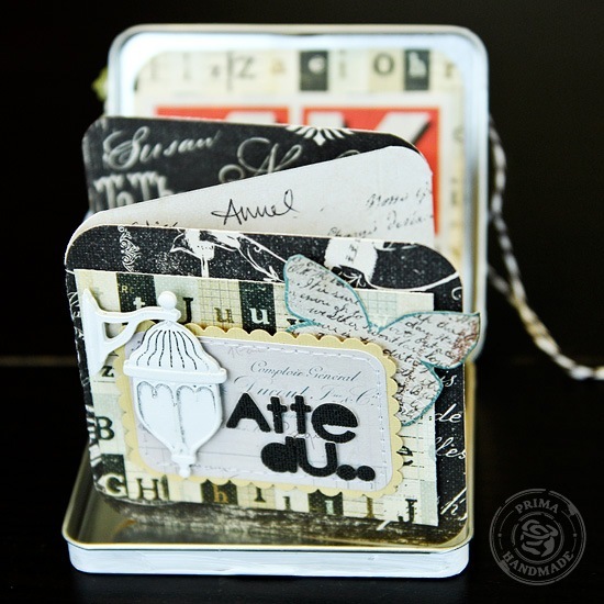card5 card5