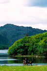 Sprachaufenthalt Killarney