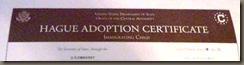 hague certificate