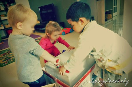 cardboardboxinvestigation cardboardboxinvestigation