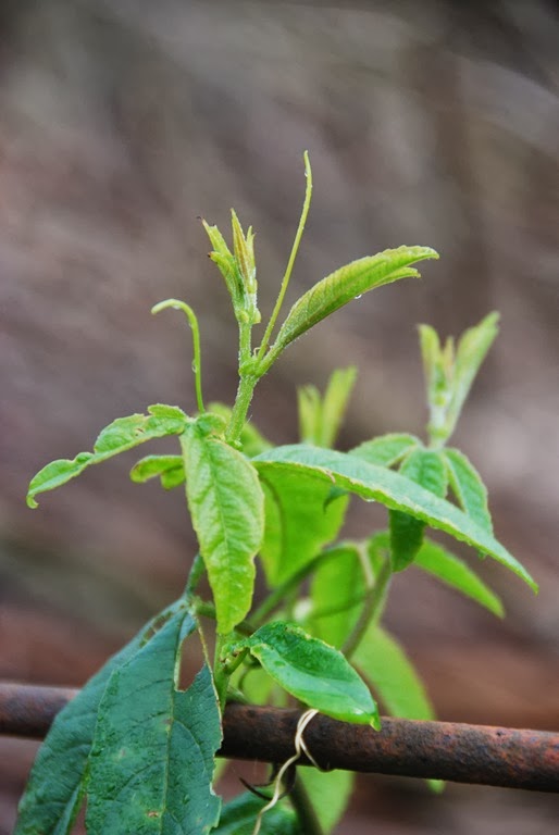 [DSC_0343%255B5%255D.jpg]