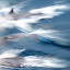 July09 656.jpg