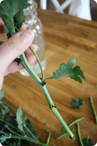 how to arrange flowers