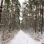 dsc03407.jpg