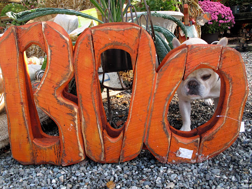BOO! Another great sign.
