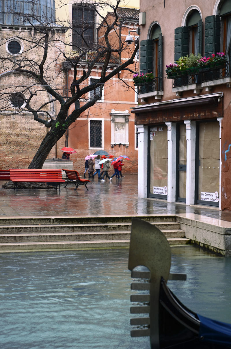 DSC_7297_w.jpg DSC 7297 w