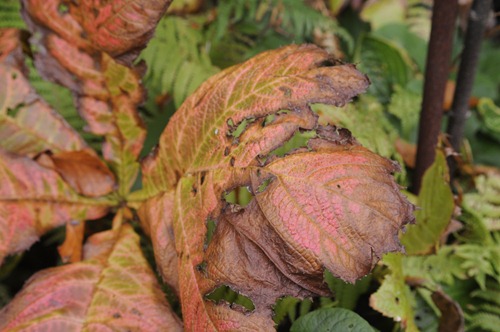 20111003_144815