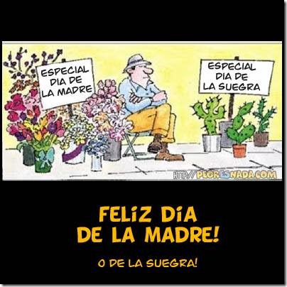 humor suegras (13) humor suegras (13)