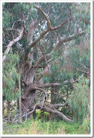IMG_9702 IMG_9702