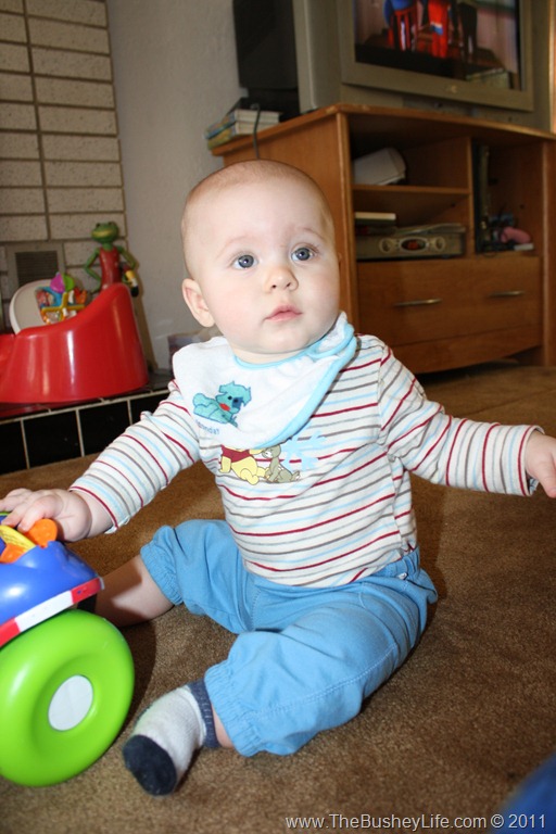 [IMG_0176%255B6%255D.jpg]