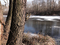 rz. Główna