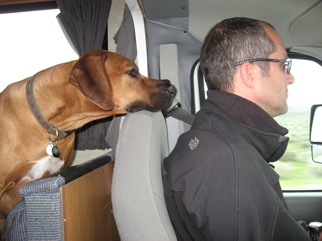 [ruedebuhr%2520road%2520rage%2520day%252019%2520082%255B4%255D.jpg]